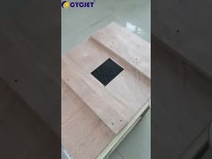 Machine tenue dans la main industrielle de marquage de laser de la haute performance D100 pour le pneu de voiture