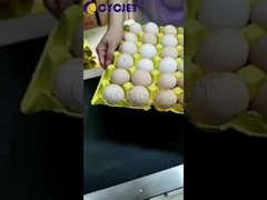 L'imprimante à jet d'encre thermique en ligne d'oeufs 6 lignes machine de codage pour l'impression de date