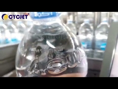 Machine de codeur d'inscription de laser de mouche de 930nm pour imprimer la date sur le plastique